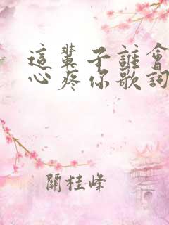 这辈子谁会真的心疼你歌词