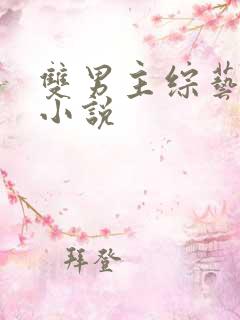 双男主综艺推文小说