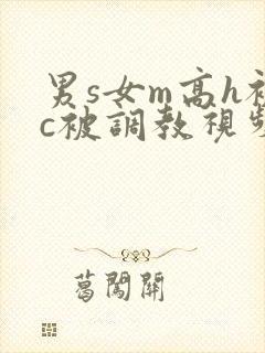 男s女m高h被c被调教视频