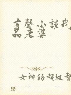 有声小说我的极品老婆