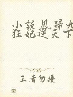 小说 凤归九霄狂妃逆天下