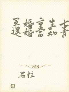 军婚重生七零年退婚当知青