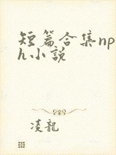 短篇合集np高h小说