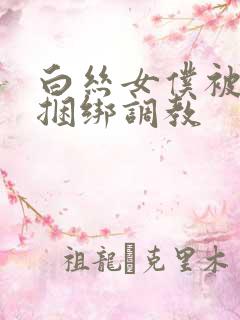 白丝女仆被主人捆绑调教