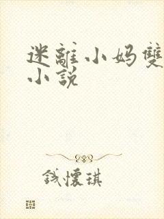 迷离小妈双男主小说