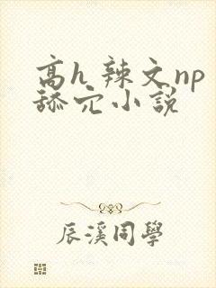 高h 辣文np舔穴小说