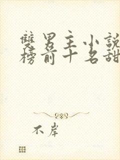 双男主小说排行榜前十名甜文