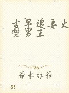 古早追妻火葬场双男主