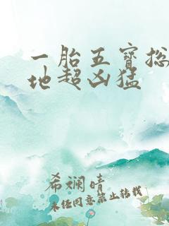 一胎五宝总裁爹地超凶猛