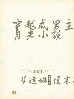 穿越成男主的白月光小说