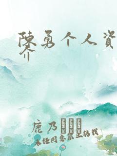 陈勇个人资料简介