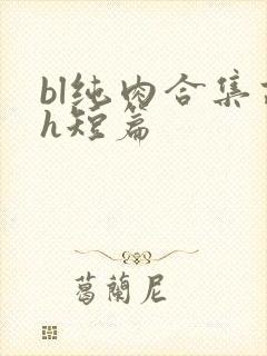 bl纯肉合集高h短篇