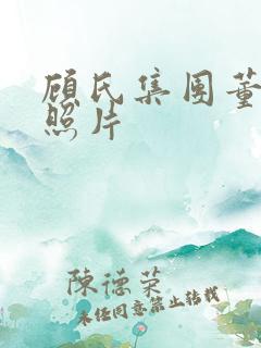 顾氏集团董事长照片