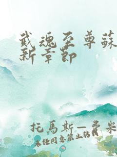 武魂至尊苏莫最新章节