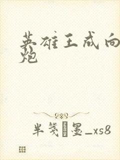 英雄王成向我开炮