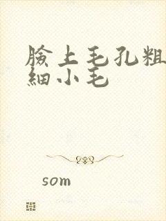 脸上毛孔粗大长细小毛