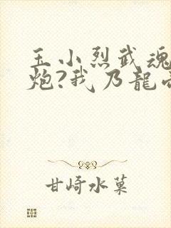 玉小烈武魂罗三炮?我乃龙帝临世