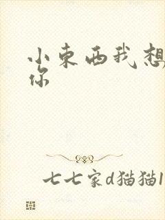 小东西我想弄坏你