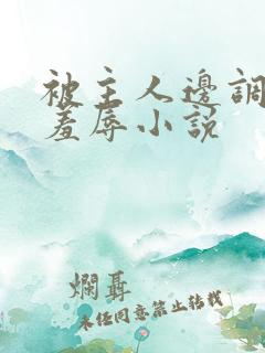 被主人边调教边羞辱小说