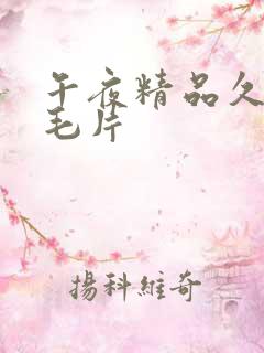 午夜精品久久久毛片