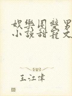 娱乐圈双男主的小说甜宠文推荐