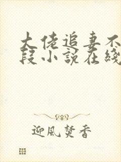 大佬追妻不择手段小说在线阅读