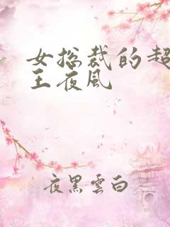 女总裁的超级兵王夜风