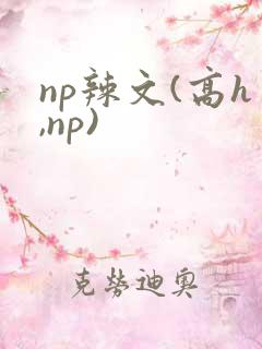 np辣文(高h,np)