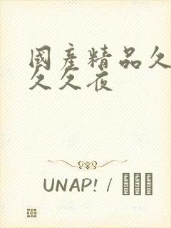 国产精品久久久久久夜