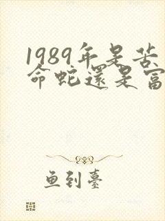 1989年是苦命蛇还是富蛇