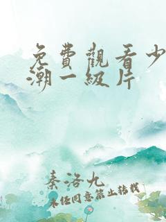 免费观看少妇高潮一级片