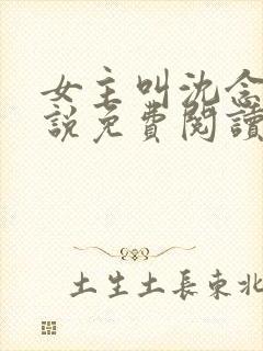 女主叫沈念的小说免费阅读全文