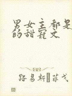 男女主都是总裁的甜宠文