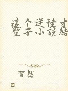 这个逆徒才不是圣子小说结局