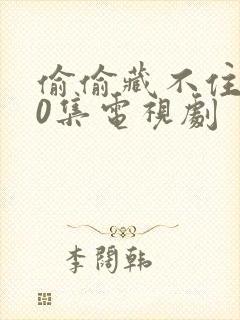 偷偷藏不住100集电视剧