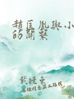 赵匡胤与小周后的关系