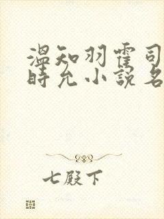 温知羽霍司砚顾时允小说名字