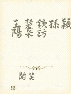 王楚钦孙颖莎南阳采访