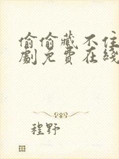 偷偷藏不住电视剧免费在线看