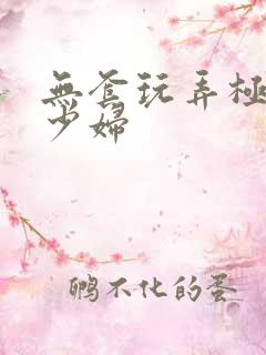 无套玩弄极品美少妇