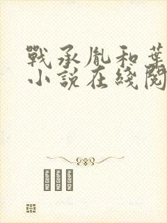 战承胤和叶苜苜小说在线阅读