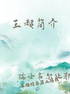 王超简介