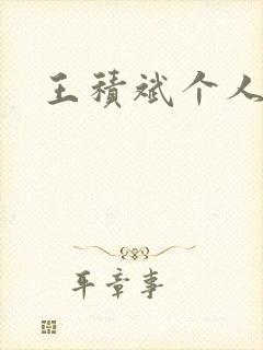 王积斌个人简介