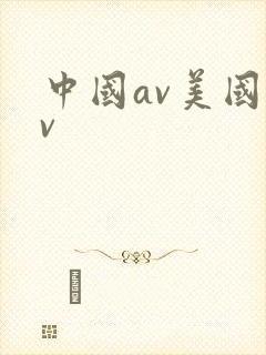 中国av美国av