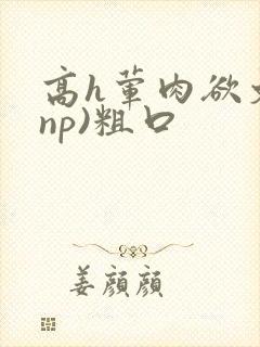 高h荤肉欲文(np)粗口