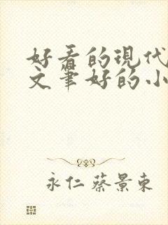 好看的现代言情文笔好的小说