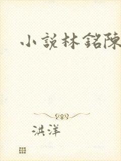 小说林铭陈佳