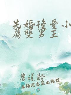 先婚后爱小说推荐双男主