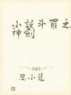 小说斗罗之灵珠神剑