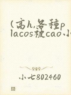 (高h,各种placos被cao小说